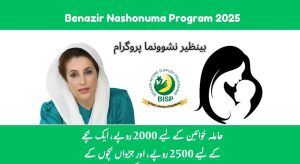 Benazir Nashonuma Program 2025: Health and Aid for Mothers and Children