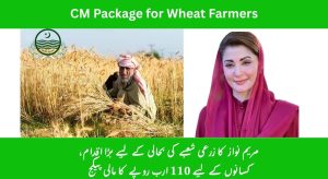 CM Maryam Nawaz Sharif Announces Rs 110 Billion Package for…