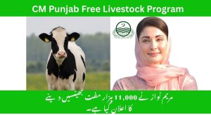 CM Punjab Free Livestock Program 2025: A Complete Guide