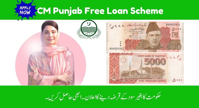 CM Punjab Asaan Karobar Finance Program 2025 – Supporting Small Business Growth