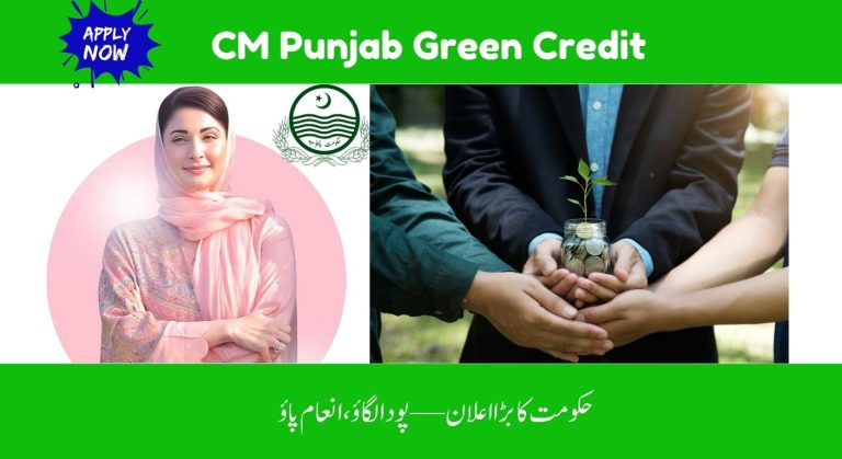 Good News For Pakistan: CM Punjab Starts Green Credit Program 2025