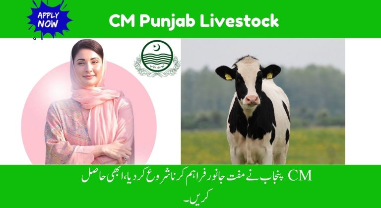 CM Punjab Livestock Program, Applications Invited for Phase 2, Check Deadline & Full Details