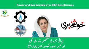 Energy Reform Plan: Power and Gas Subsidies for BISP Families by 2025-26