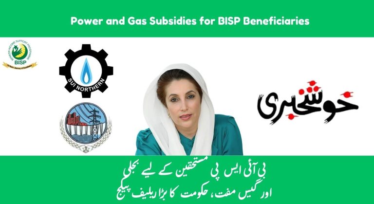 Energy Reform Plan: Power and Gas Subsidies for BISP Families by 2025-26