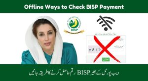 Easy Offline Ways to Check BISP Payment Without Web Portal…