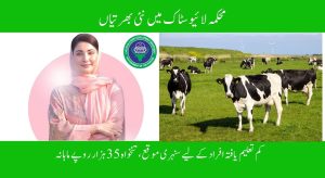 محکمہ لائیوسٹاک میں نئی بھرتیاں – کم تعلیم یافتہ افراد کے لیے سنہری موقع، تنخواہ 35 ہزار روپے ماہانہ