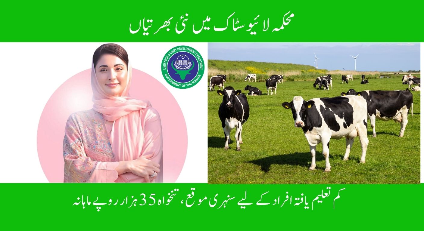 محکمہ لائیوسٹاک میں نئی بھرتیاں – کم تعلیم یافتہ افراد کے لیے سنہری موقع، تنخواہ 35 ہزار روپے ماہانہ